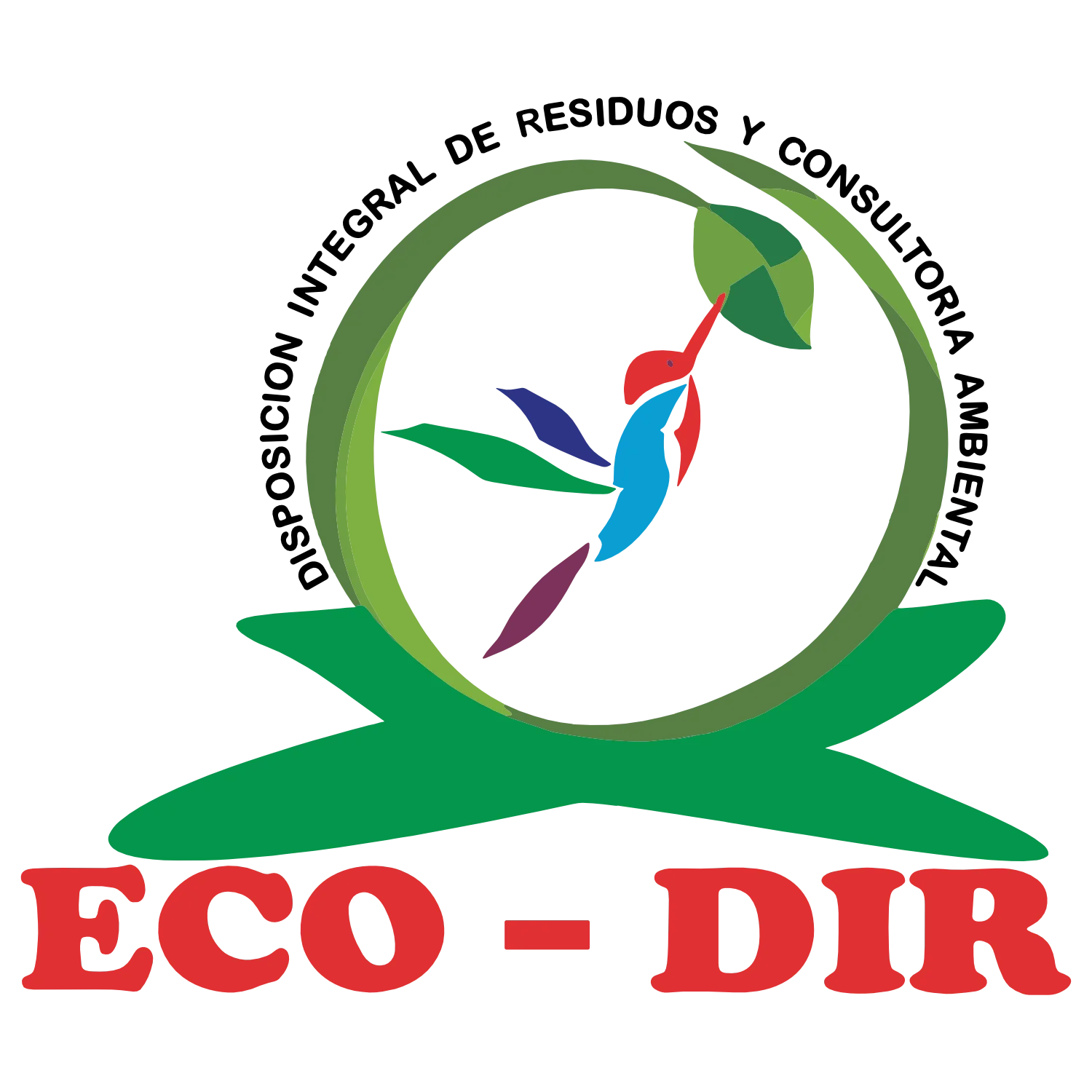 logo-ecodir-color